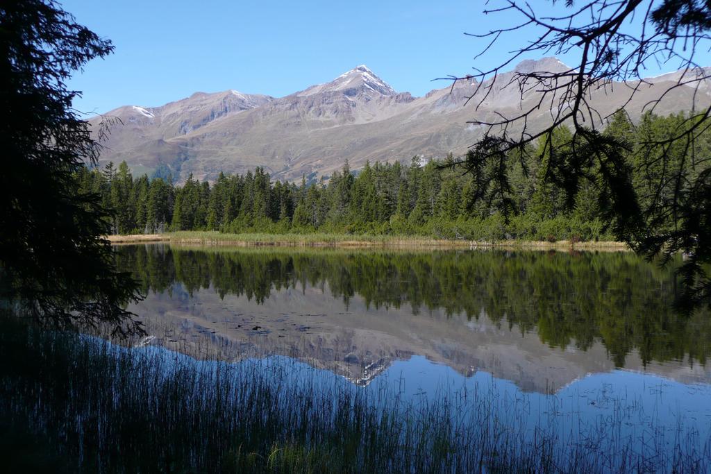 נאודרס Alpengasthof Norbertshoehe Superior מראה חיצוני תמונה