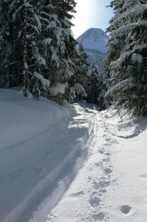 נאודרס Alpengasthof Norbertshoehe Superior מראה חיצוני תמונה